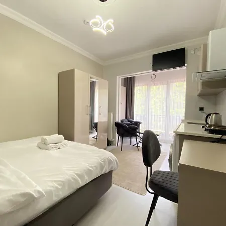 Апартаменты Studio Flat 1 Min To Trump Mall And Metro In Sisli